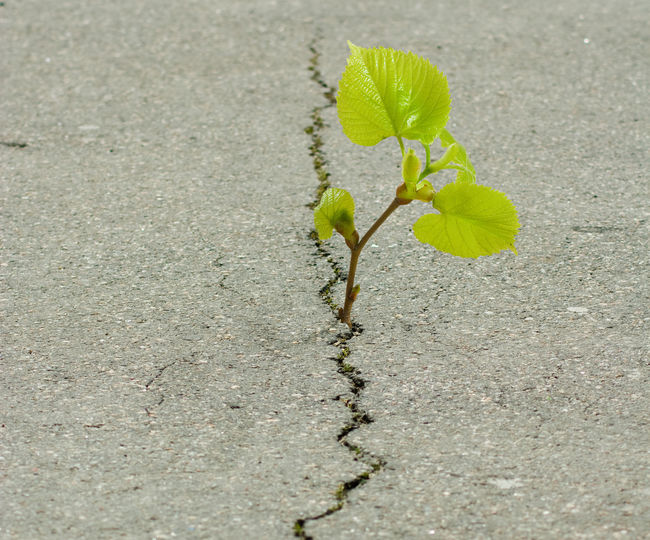 Illustration d’apaisement et de bien-être